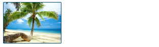 BeachToursByHorseback